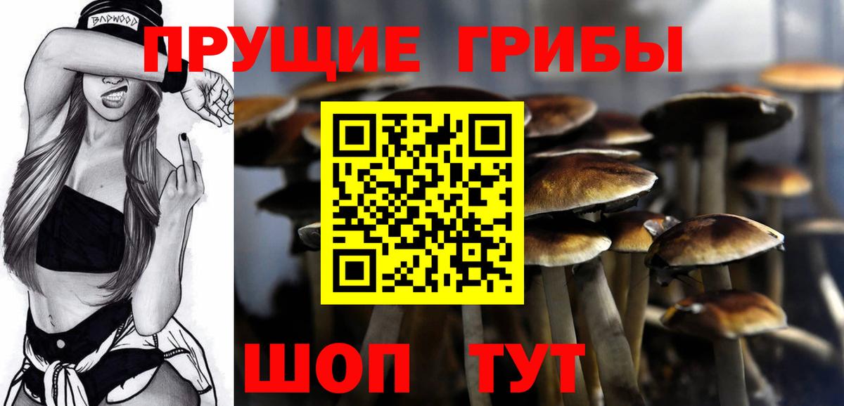 Псилоцибиновые грибы Psilocybine cubensis Анапа