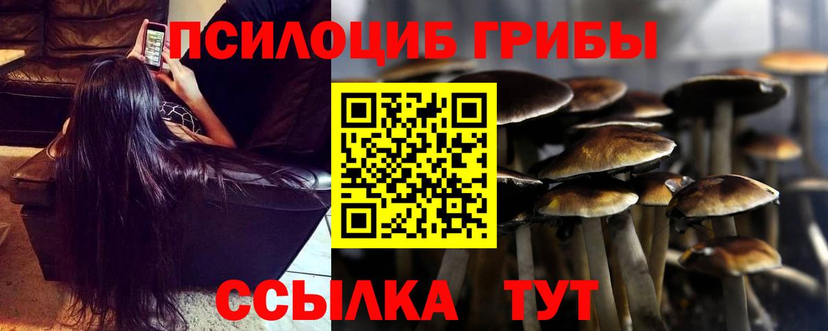 Анапа  Псилоцибиновые грибы Psilocybine cubensis  Вход с VPN 